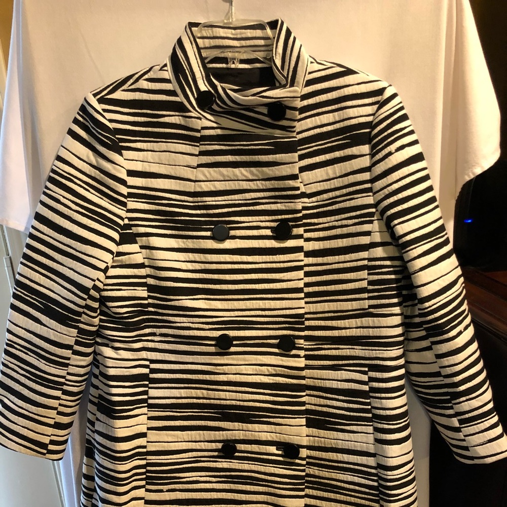 Ann Taylor pettycoat